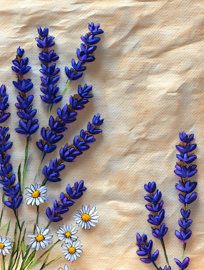 Lavender and Daisies on Paper