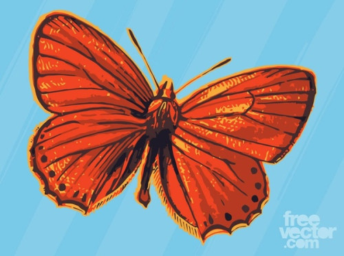 Red Butterfly Free Vector