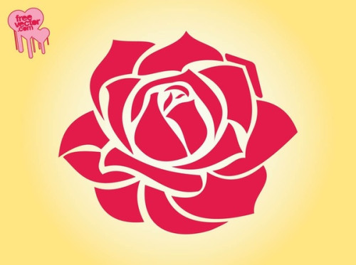 Rose Blossom Free Vector