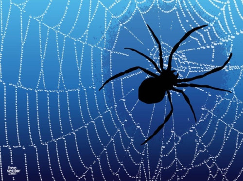 Spider Free Vector