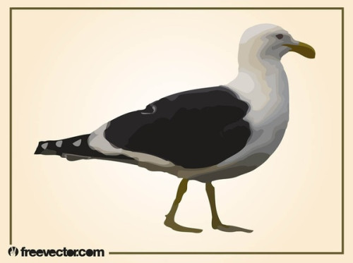 Walking Seagull Free Vector