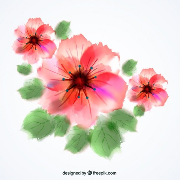 Watercolor Flowers Free Vector