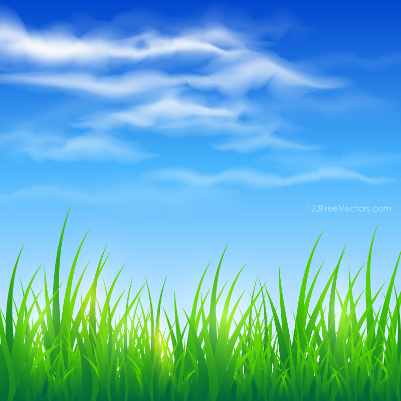 Green Grass Blue Sky Images  Browse 3520843 Stock Photos Vectors and  Video  Adobe Stock