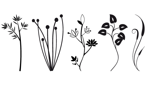 Featured image of post Black Plants Vector Png : Try to search more transparent images related to plant png |.