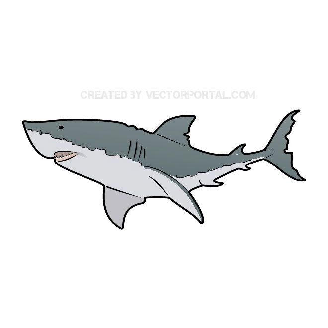 Download Great White Shark Free Vector