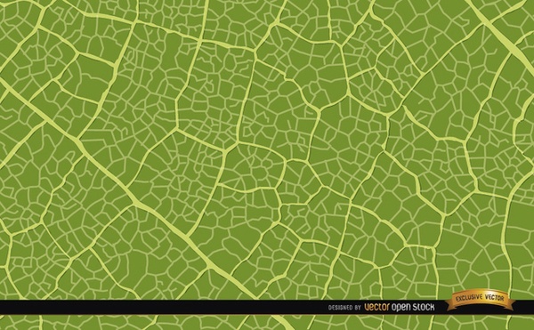 Green Leaf Texture Background Free Vector